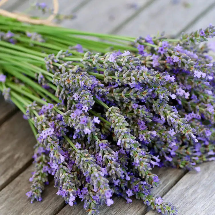 Lavender Gift Set Bundle